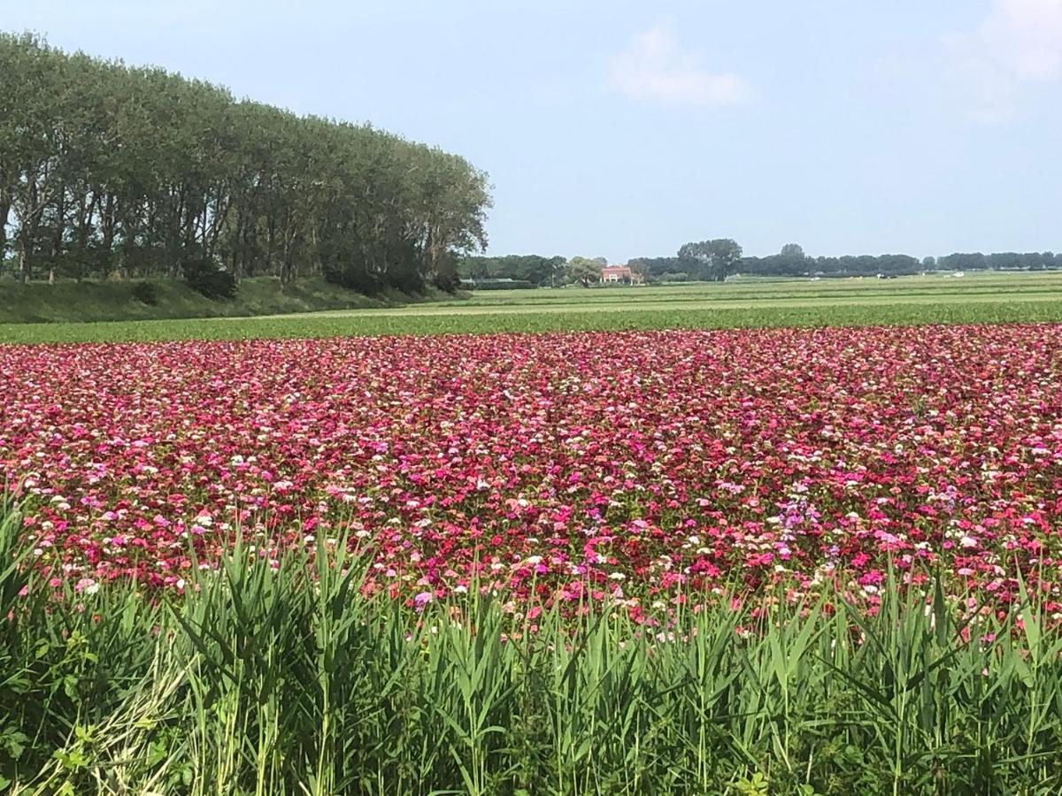 4 P Chalet Sint-Maartensdijk Zeelandヴィラ エクステリア 写真